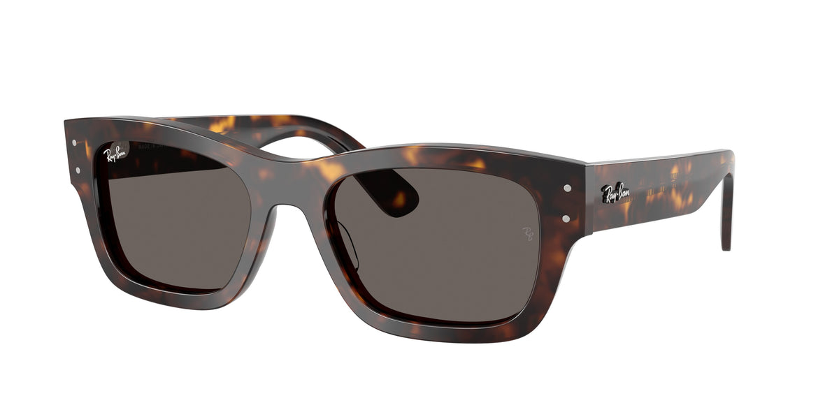 Ray - Ban RB7683S JOSEPH 902/B1