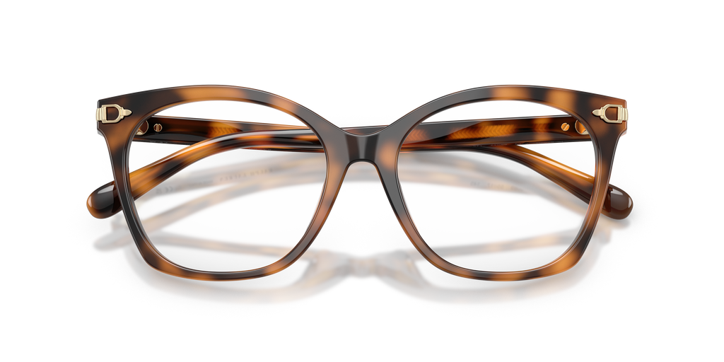 Ralph Lauren RL6266U 6089