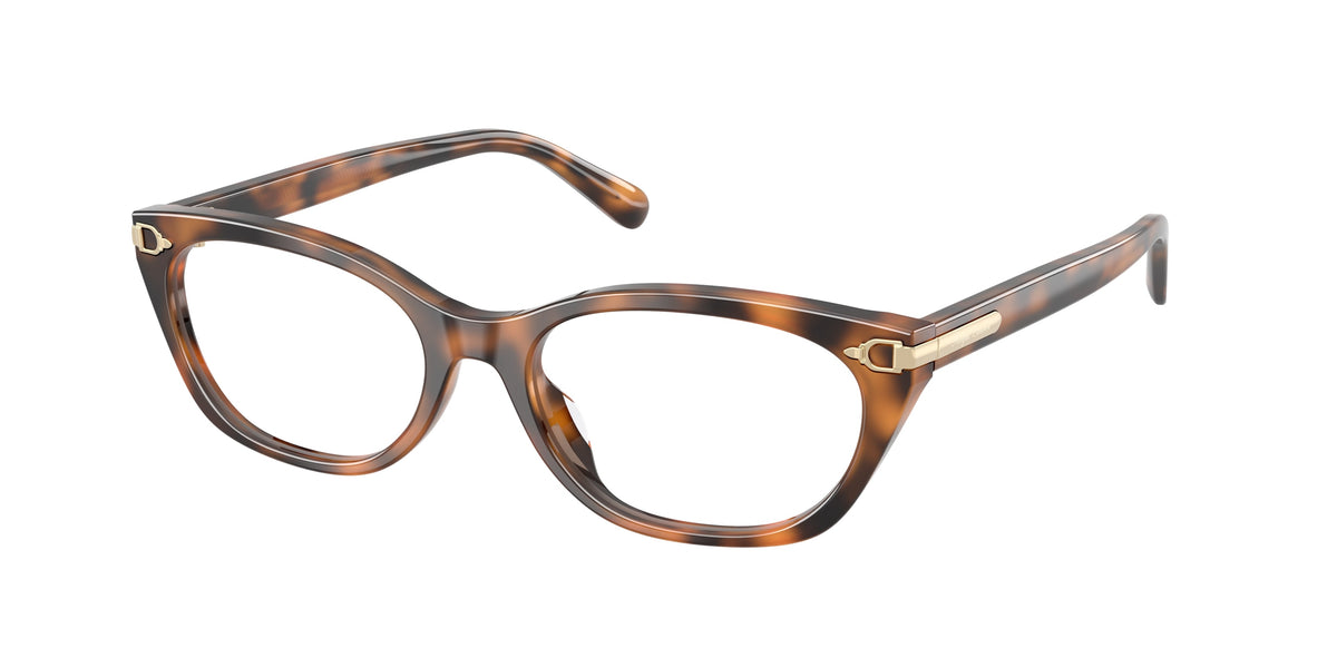 Ralph Lauren RL6268U 6089