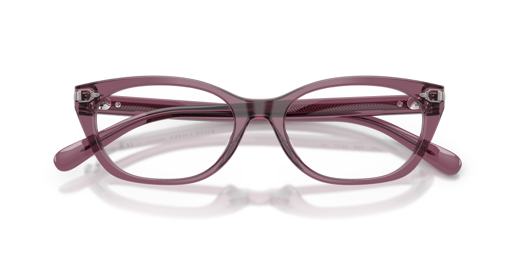 Ralph Lauren RL6268U 6389