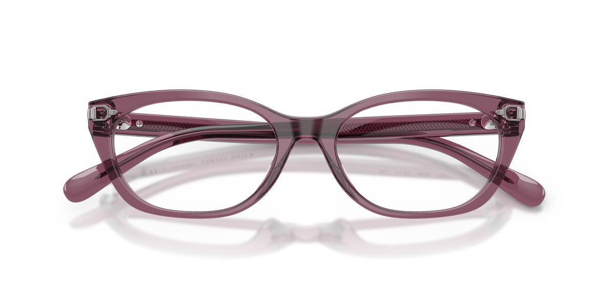 Ralph Lauren RL6268U 6389