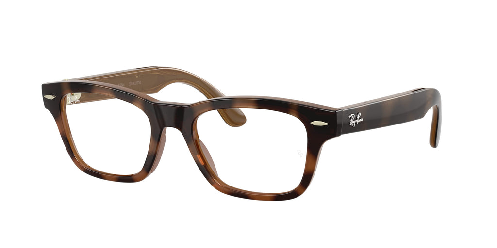 Ray - Ban RW7005V Ray-Ban Meta Audio Burbank Optics 8525
