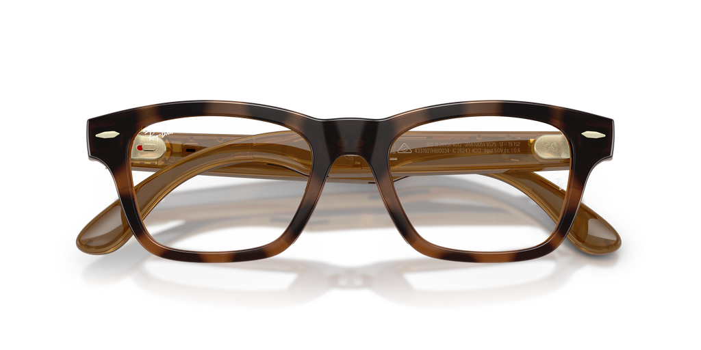 Ray - Ban RW7005V Ray-Ban Meta Audio Burbank Optics 8525