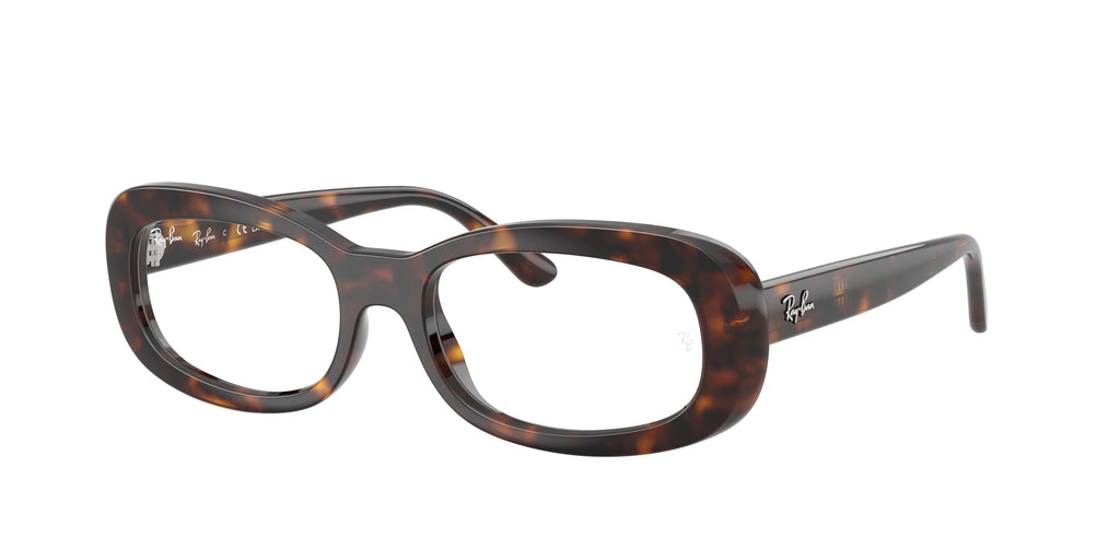 Ray - Ban RX2221V 2012