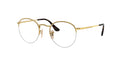 Ray - Ban RX3947V ROUND GAZE 2500