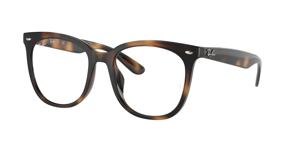 Ray - Ban RX4379VD 2012