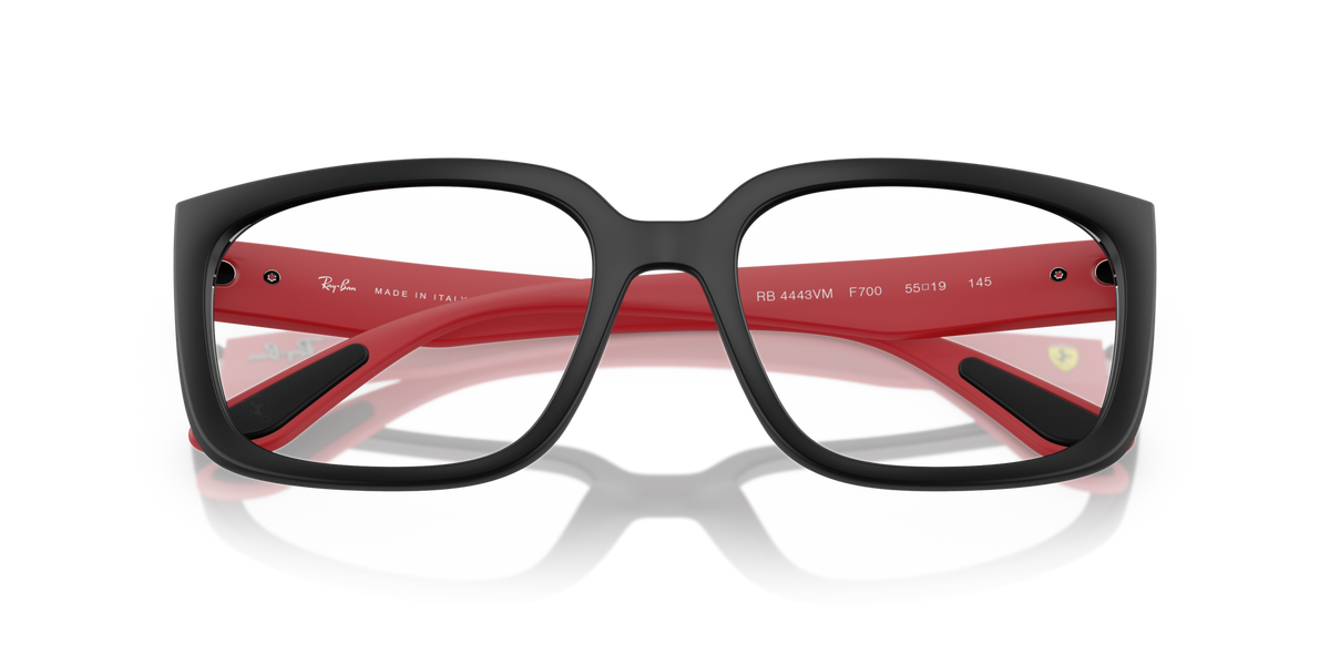 Ray - Ban RX4443VM F700