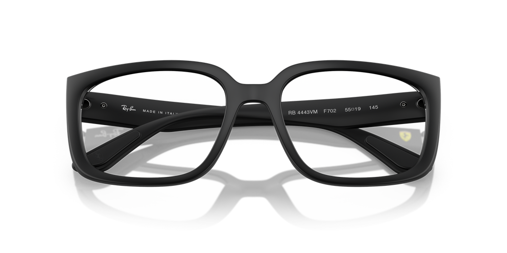 Ray - Ban RX4443VM F702