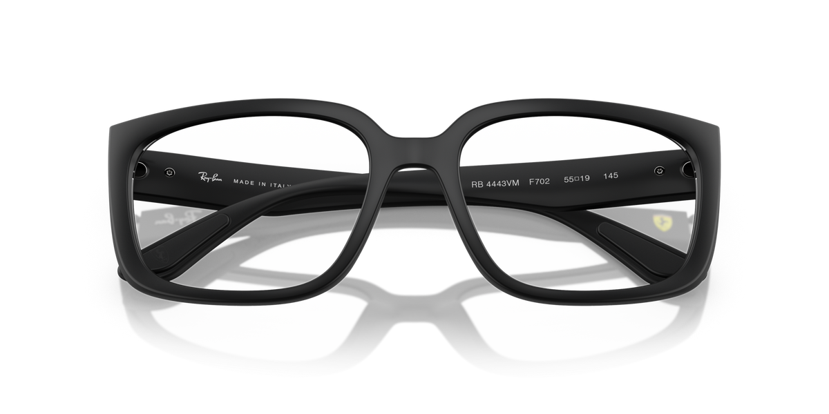 Ray - Ban RX4443VM F702