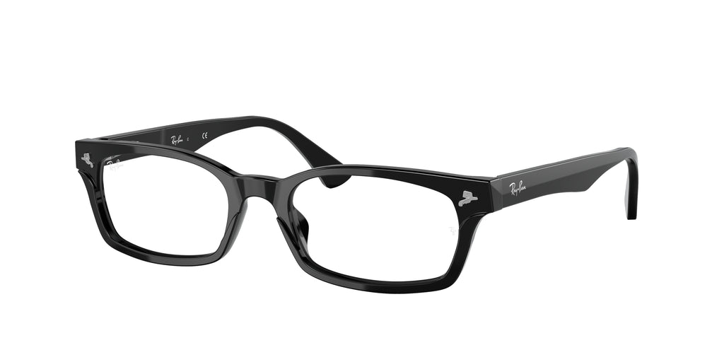 Ray - Ban RX5017A 2000