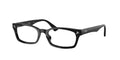 Ray - Ban RX5017A 2000