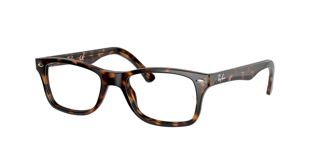 Ray - Ban RX5228 2012