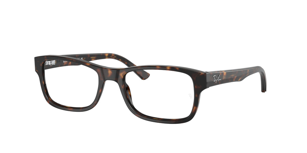 Ray - Ban RX5268 2012