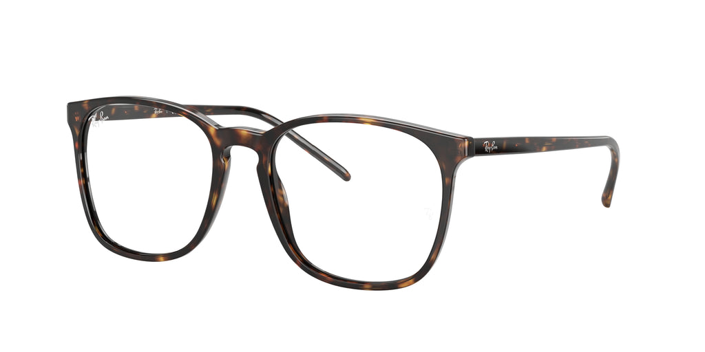Ray - Ban RX5387 2012