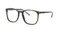 Ray - Ban RX5387 2012