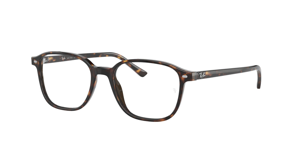 Ray - Ban RX5393 LEONARD 2012