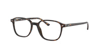 Ray - Ban RX5393 LEONARD 2012