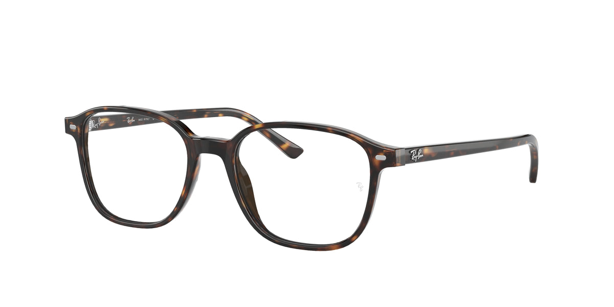 Ray - Ban RX5393 LEONARD 2012