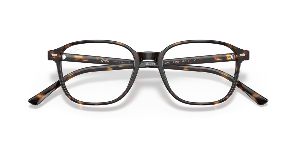 Ray - Ban RX5393 LEONARD 2012