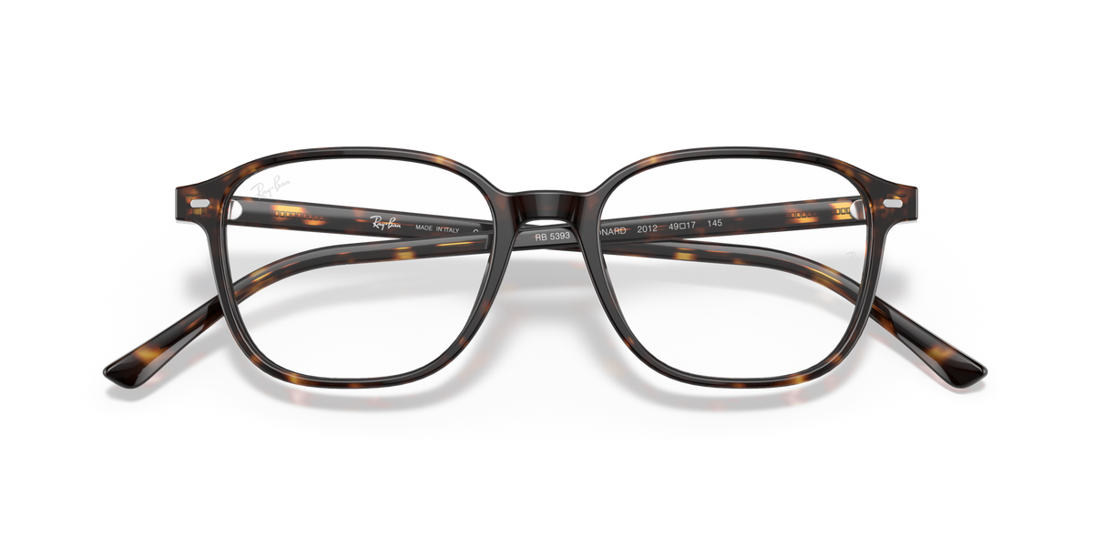 Ray - Ban RX5393 LEONARD 2012