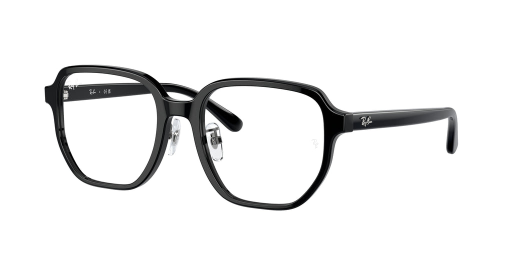 Ray - Ban RX5424D 2000