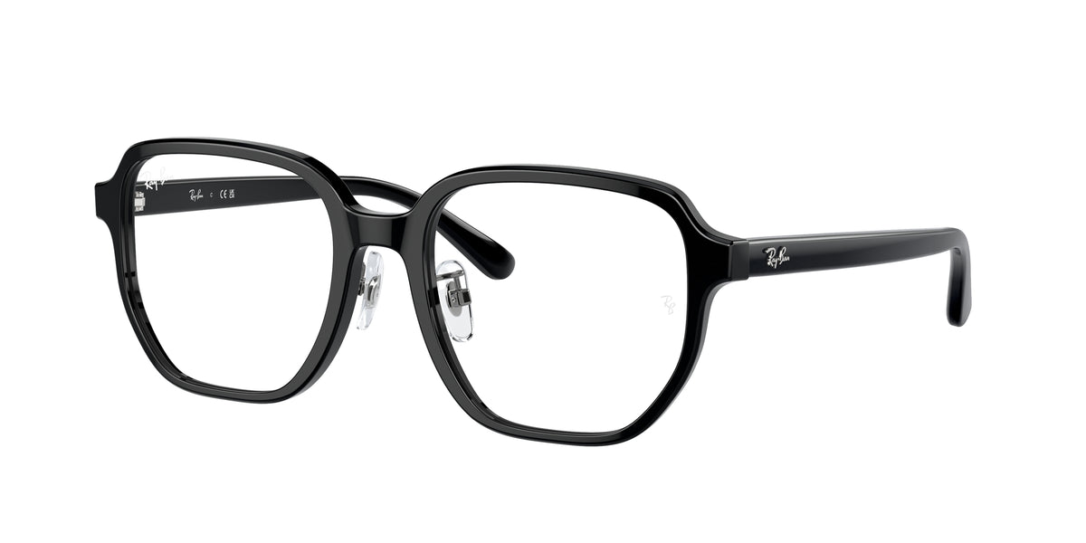 Ray - Ban RX5424D 2000