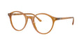 Ray - Ban RX5430 BERNARD 8439