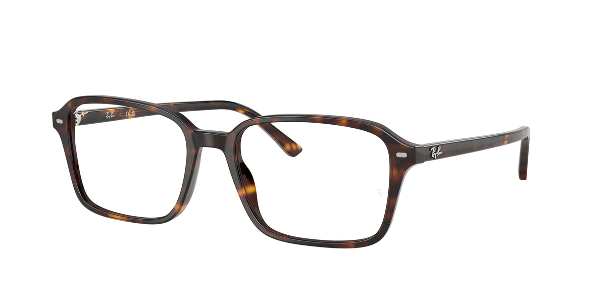 Ray - Ban RX5431 RAIMOND 2012