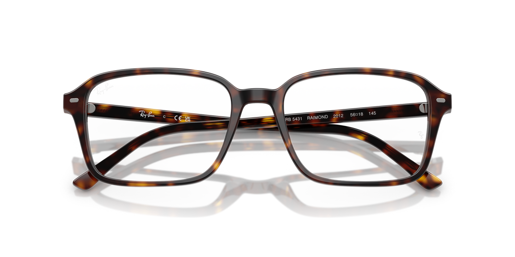 Ray - Ban RX5431 RAIMOND 2012