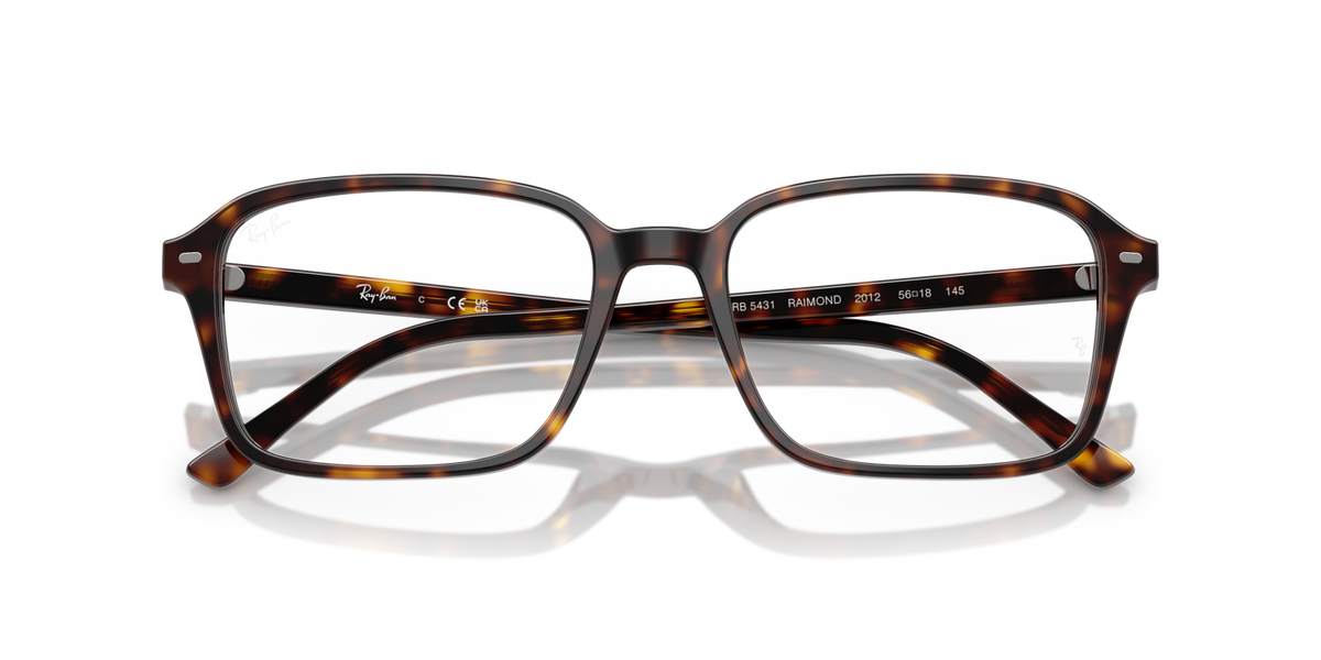 Ray - Ban RX5431 RAIMOND 2012