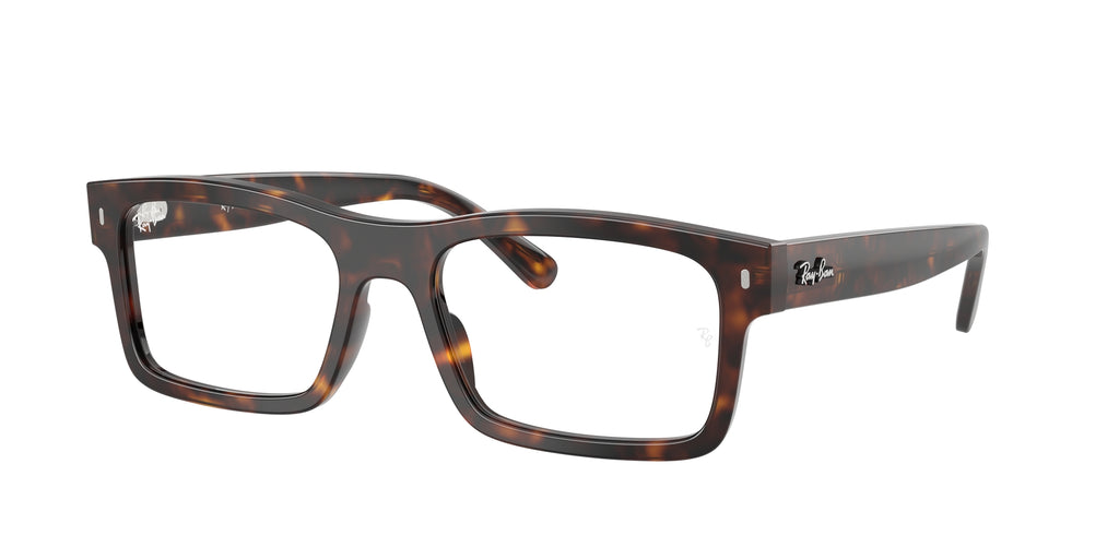 Ray - Ban RX5435 2012