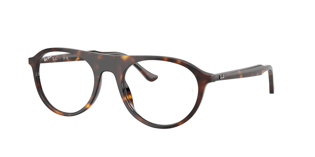 Ray - Ban RX5441 2012