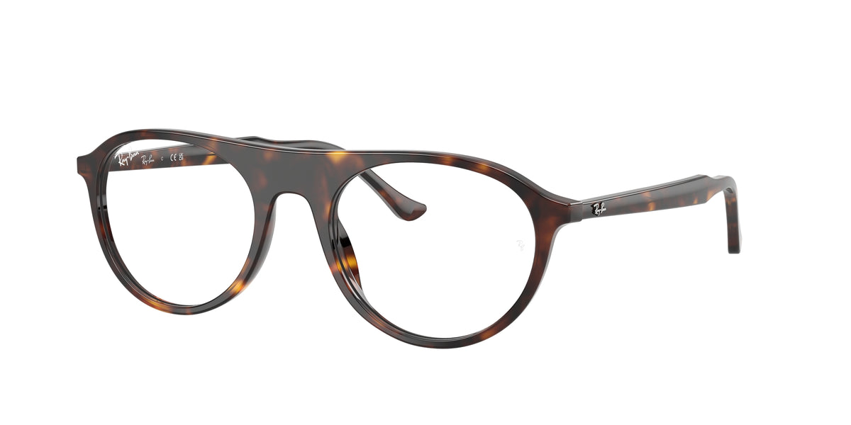 Ray - Ban RX5441 2012