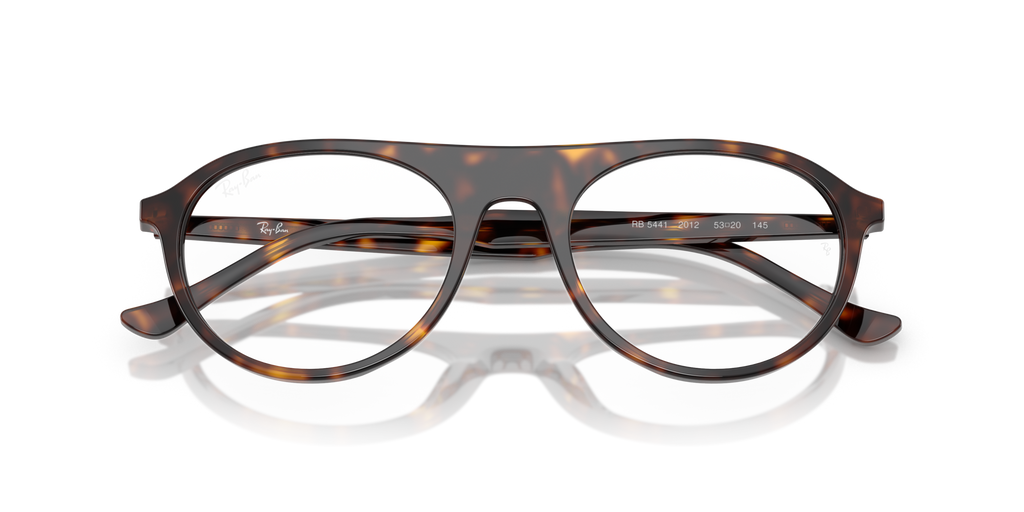 Ray - Ban RX5441 2012
