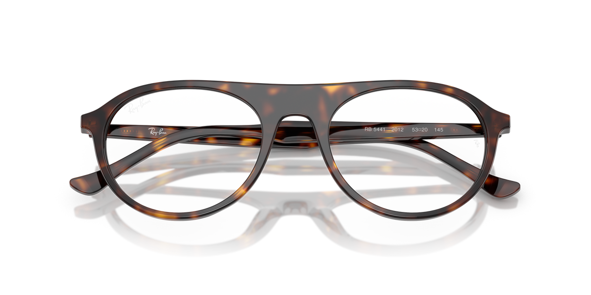 Ray - Ban RX5441 2012