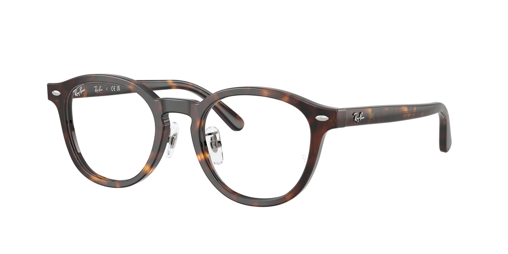 Ray - Ban RX5443D 2012