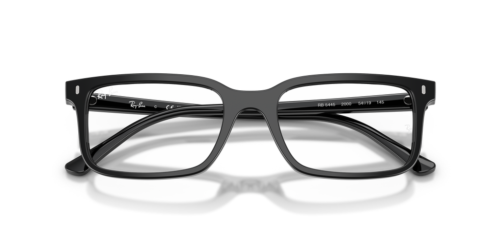 Ray - Ban RX5445 2000