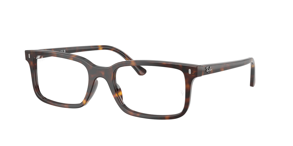 Ray - Ban RX5445 2012