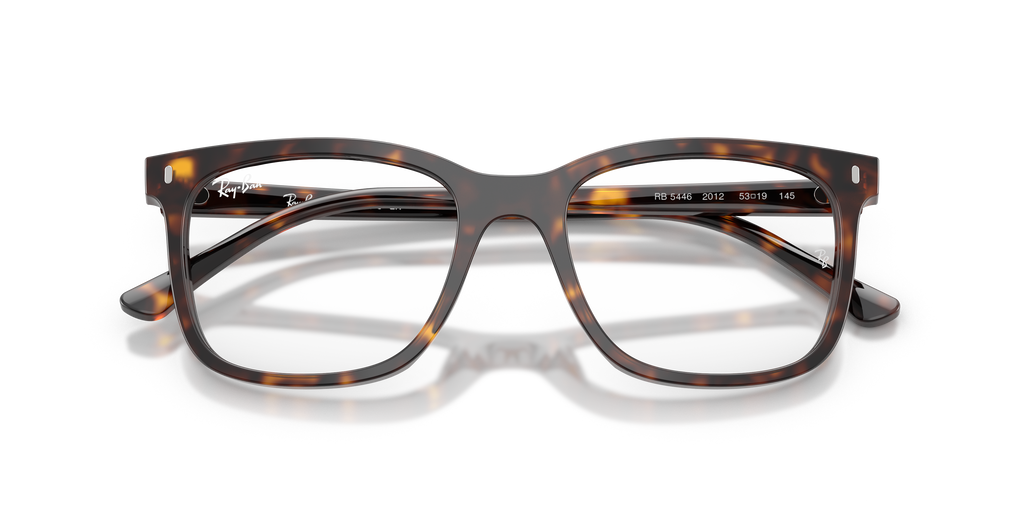 Ray - Ban RX5446 2012
