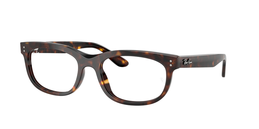 Ray - Ban RX5489 BALORETTE 2012