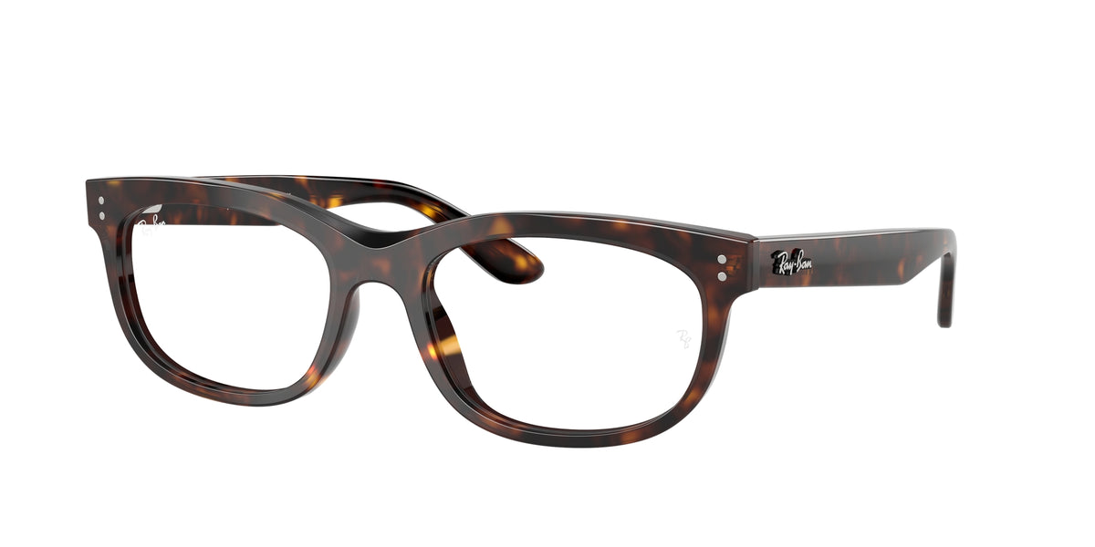 Ray - Ban RX5489 BALORETTE 2012