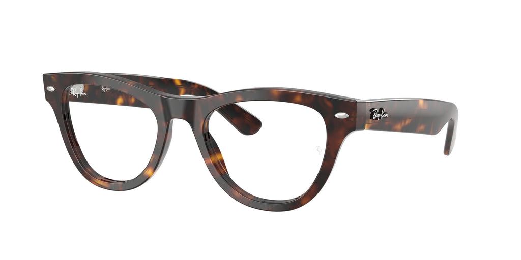 Ray - Ban RX5510 2012