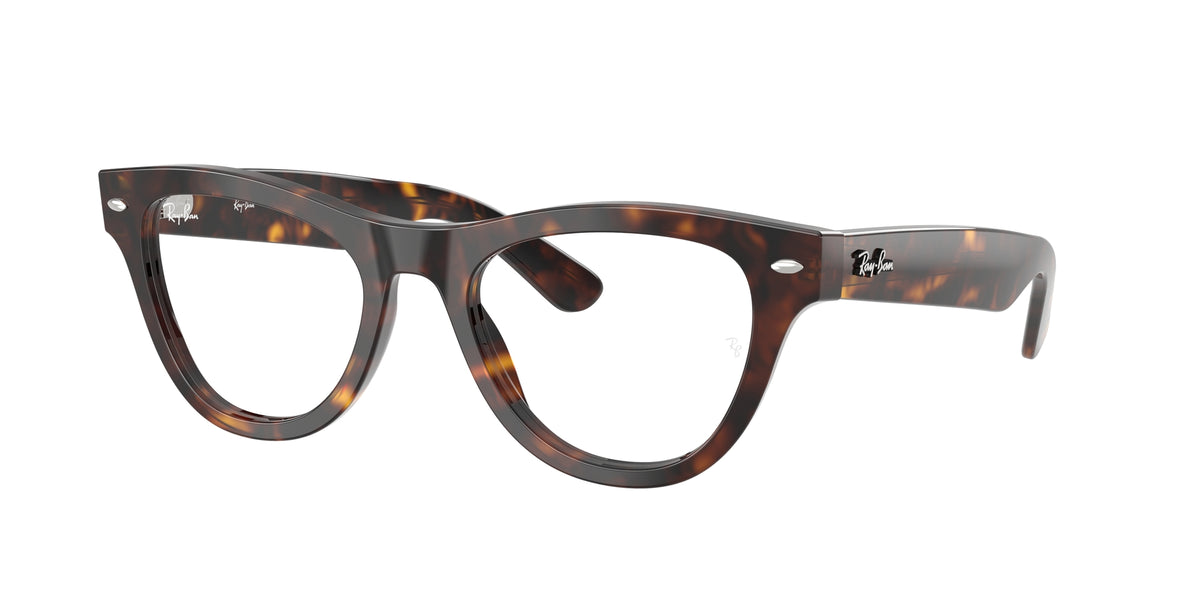 Ray - Ban RX5510 2012