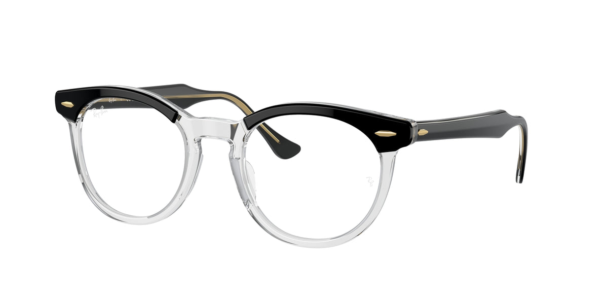 Ray - Ban RX5598 EAGLEEYE 2034