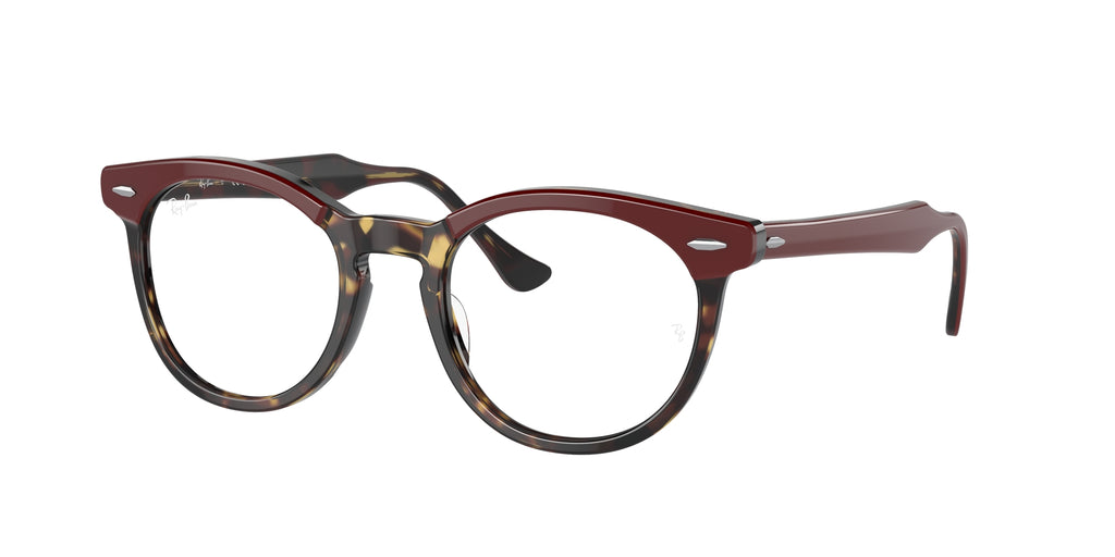 Ray - Ban RX5598 EAGLEEYE 8250