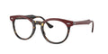 Ray - Ban RX5598 EAGLEEYE 8250