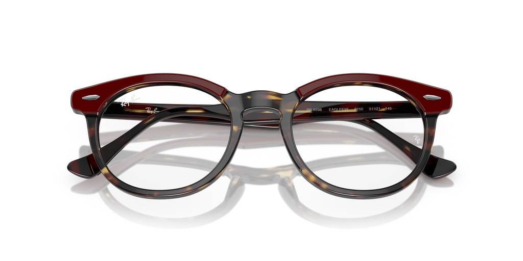 Ray - Ban RX5598 EAGLEEYE 8250