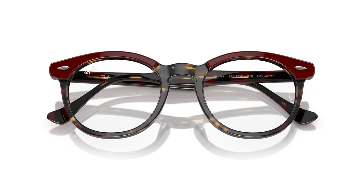Ray - Ban RX5598 EAGLEEYE 8250