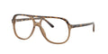 Ray - Ban RX5698 8109