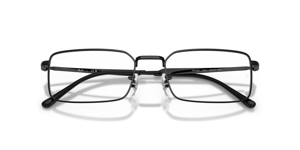 Ray - Ban RX6557 2509